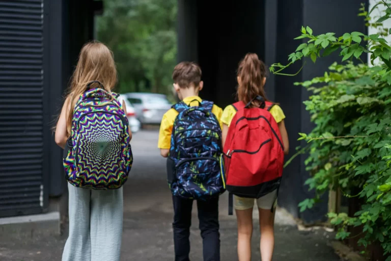 Responsable programme éducatif